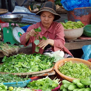 Asien | Vietnam - Individualreisen - Reisebürro Dresden